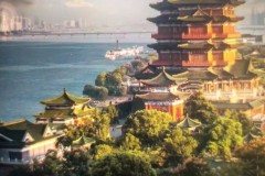 郑钦文伤病康复路：备战中国赛季，迎接新篇章